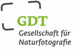 GDT_Logo-DE_grau-gruen